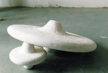 Liesbeth Bijwaard / zonder titel