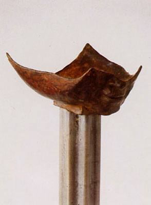 karien froeling