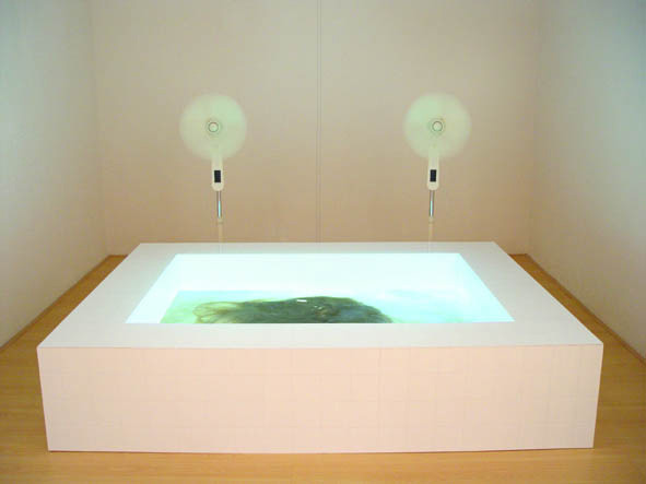 helene kocken - 'vanish 