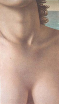 maarten welbergen