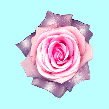 petra de nijs - rose blue