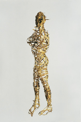 Tim Wright / Man of the 'woods'