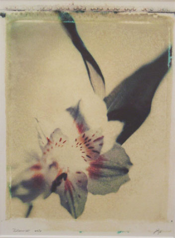 Yvette Zellerer 'bloem'