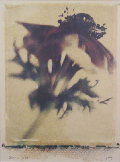Yvette Zellerer 'bloem'