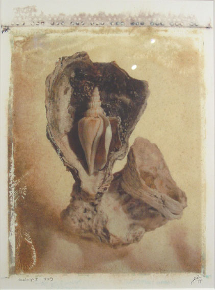 Yvette Zellerer ' schelp '