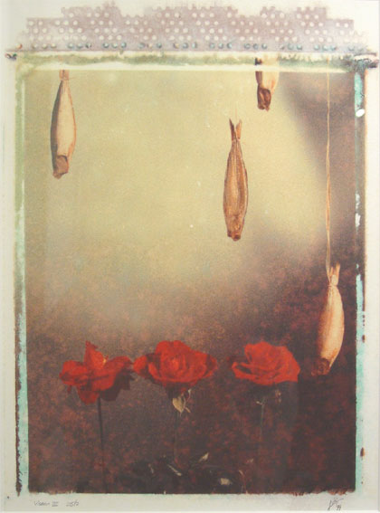 Yvette Zellerer ' vissen '